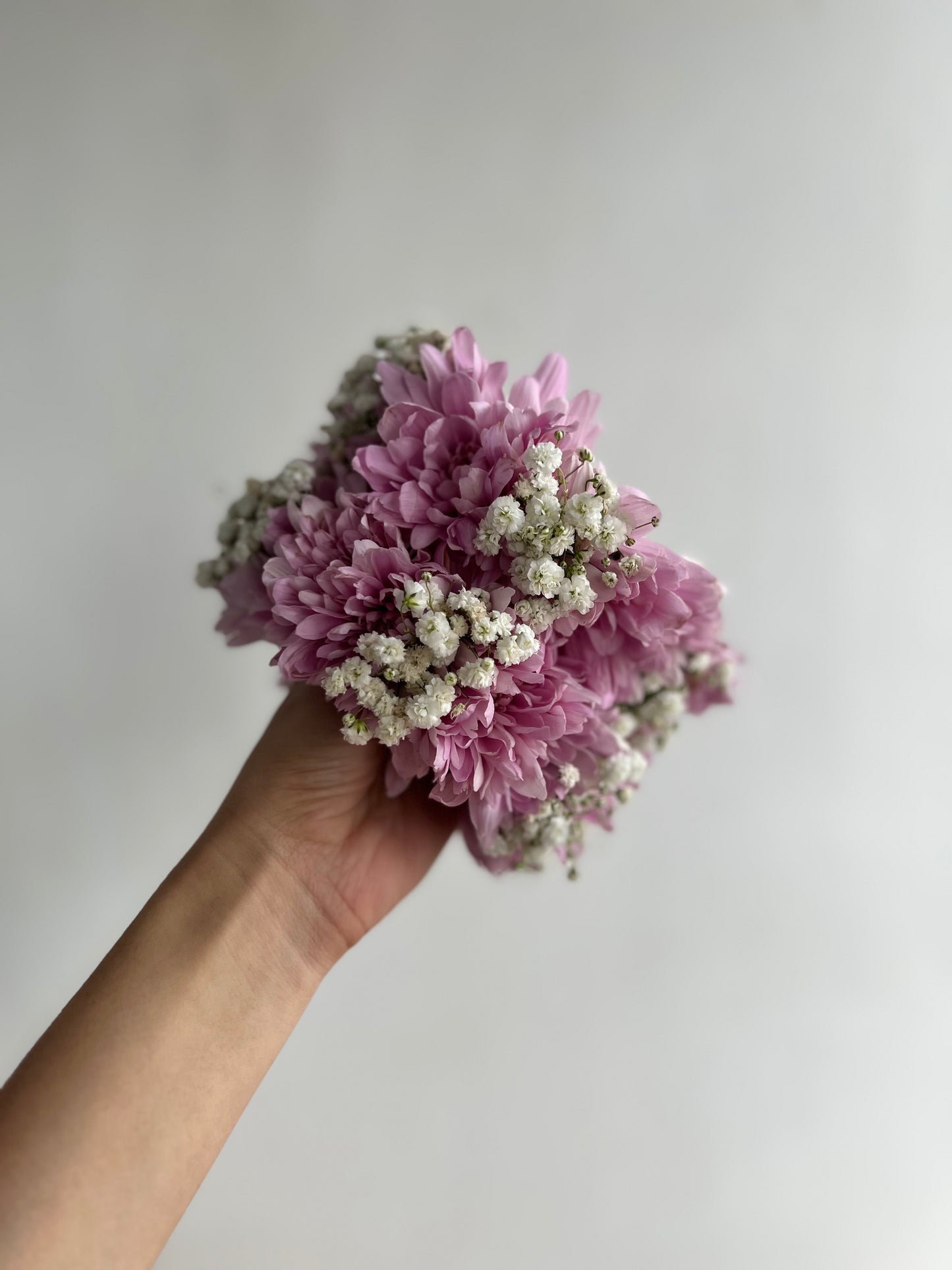 Chrysanthemum BB mix gajray