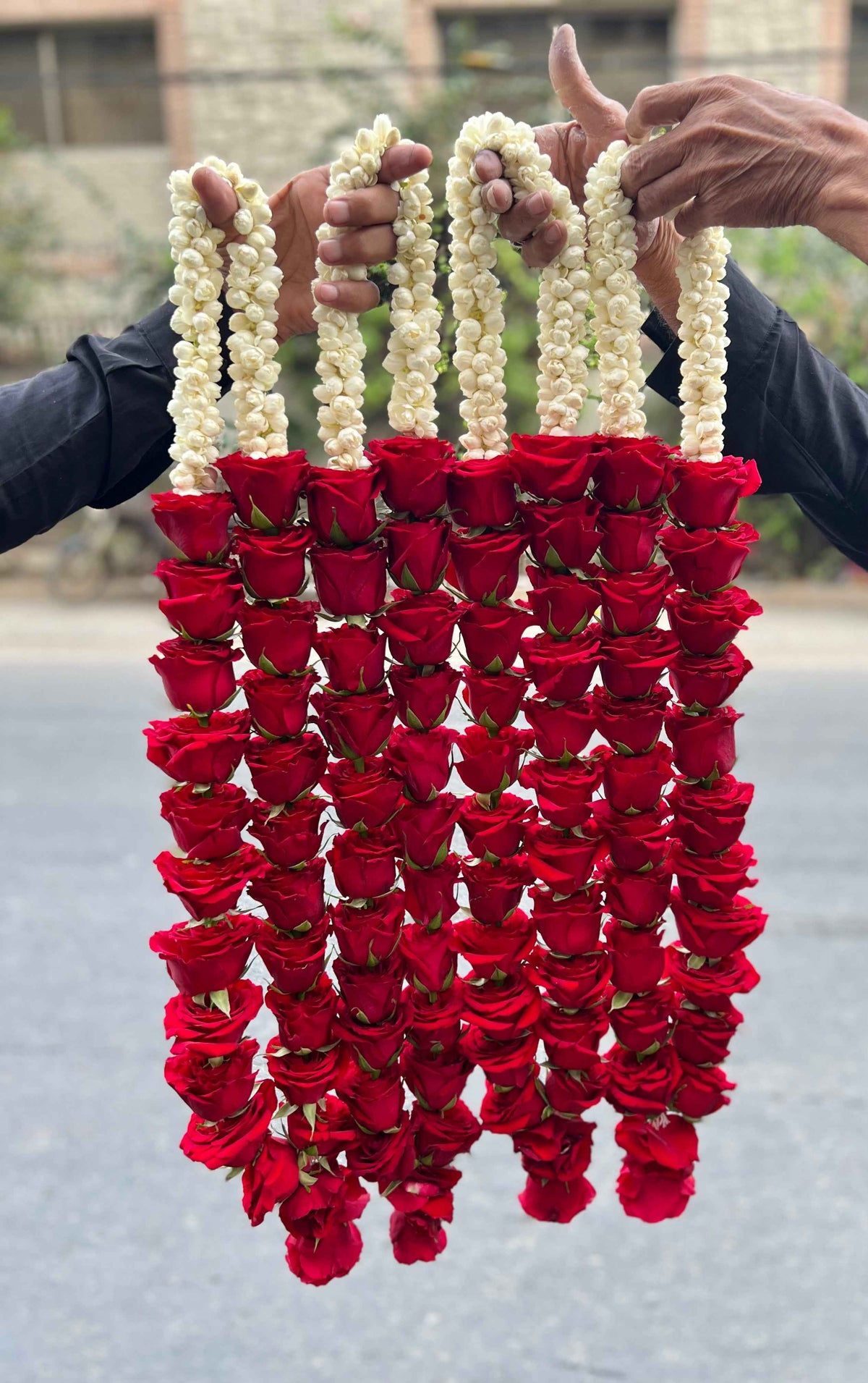 All Rose Haar