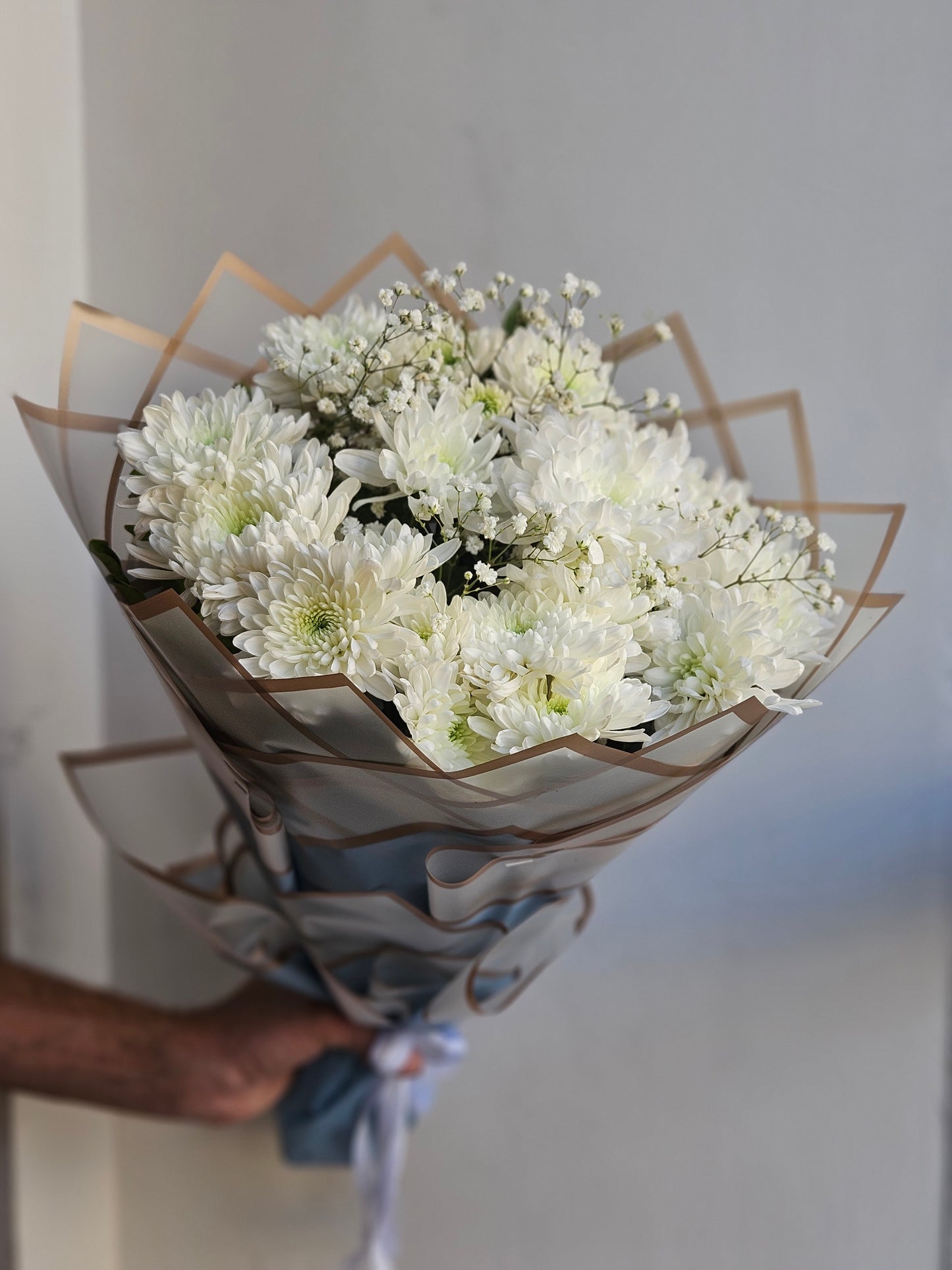 Chrysanthemum White