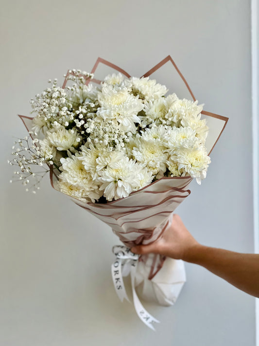 Chrysanthemum White