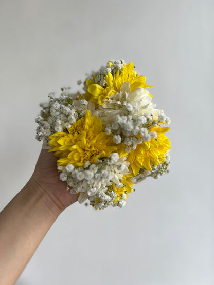 Chrysanthemum BB mix gajray