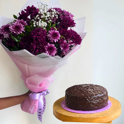 Viola Bundle
