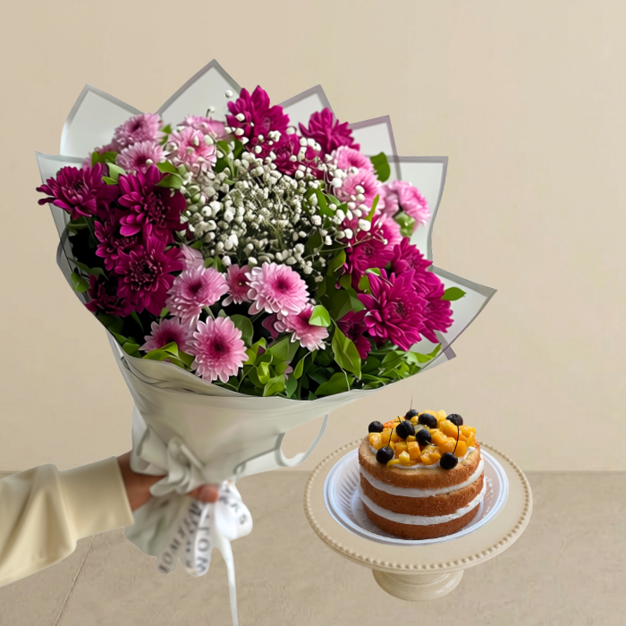 Viola Bundle