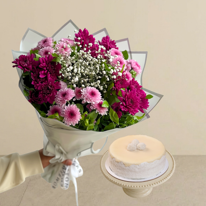 Viola Bundle