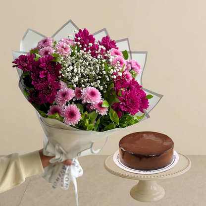 Viola Bundle
