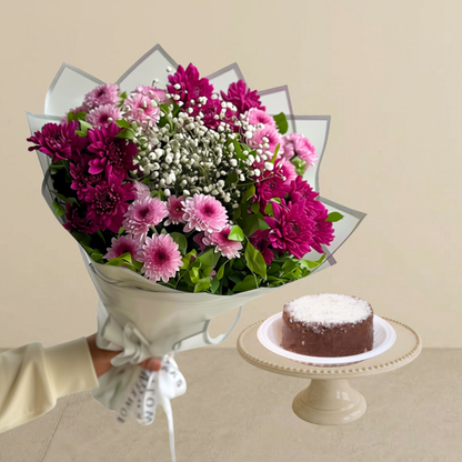 Viola Bundle