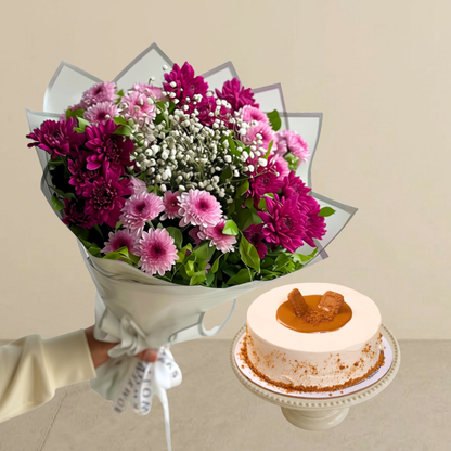 Viola Bundle