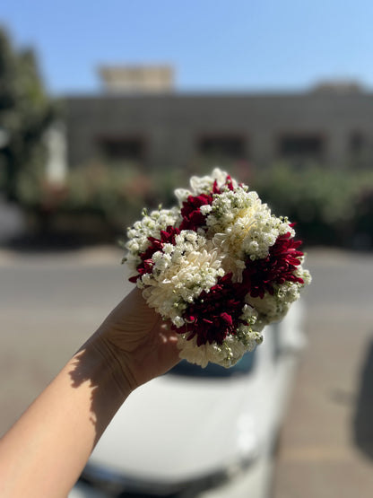 Chrysanthemum BB mix gajray