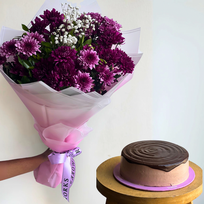 Viola Bundle