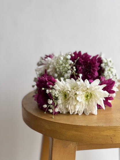 Chrysanthemum BB mix gajray