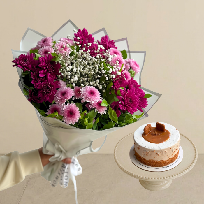 Viola Bundle