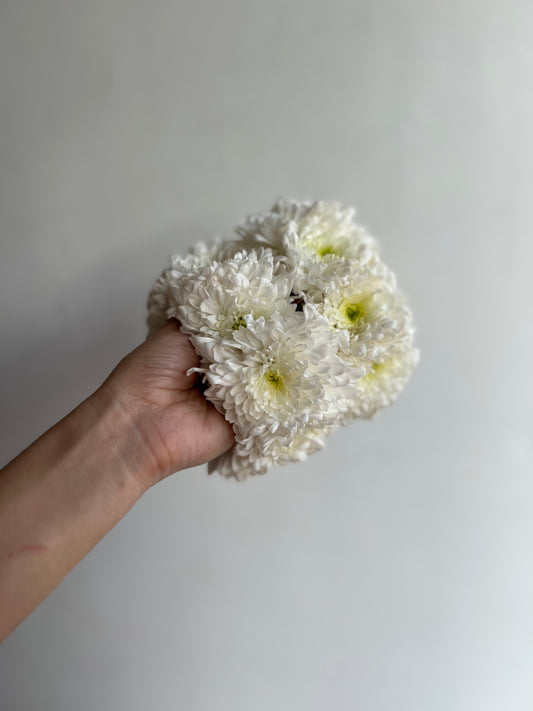 White Chrysanthemum Gajra Pair