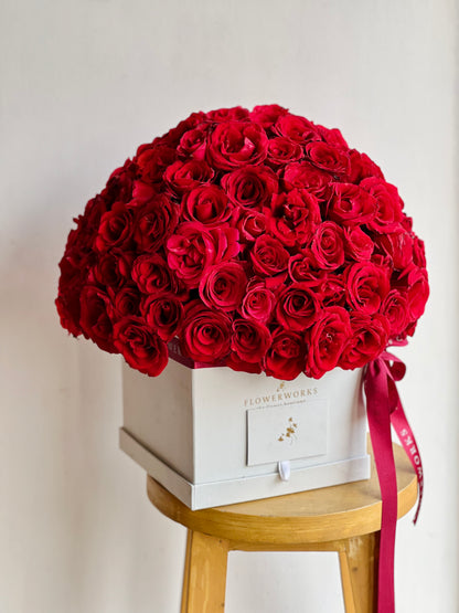 FW Classic (Medium Box)