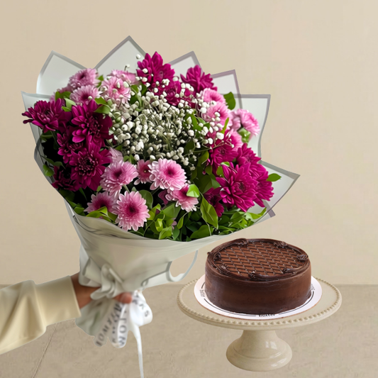 Viola Bundle
