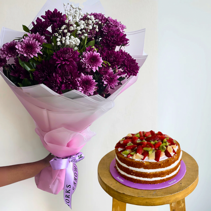 Viola Bundle