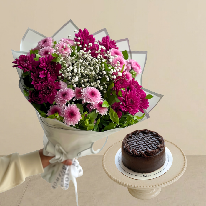 Viola Bundle