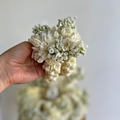 Motia with Chrysanthemum Gajray