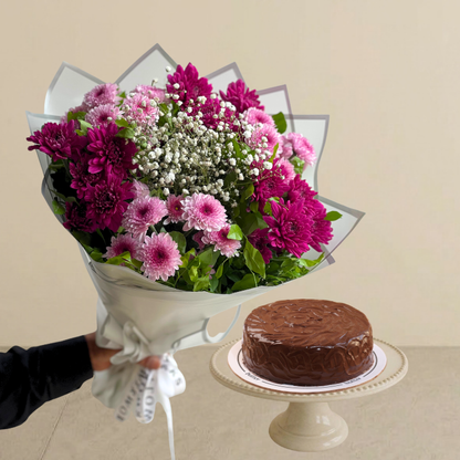 Viola Bundle