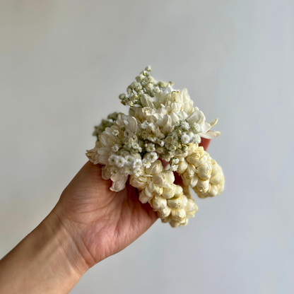 Motia with Chrysanthemum Gajray