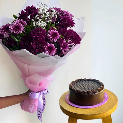 Viola Bundle
