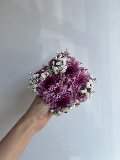 Chrysanthemum BB mix gajray