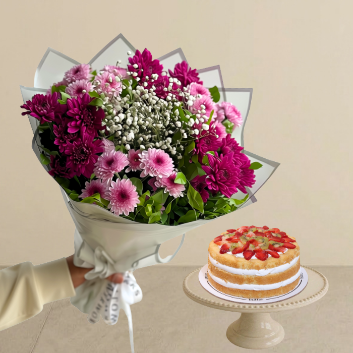 Viola Bundle
