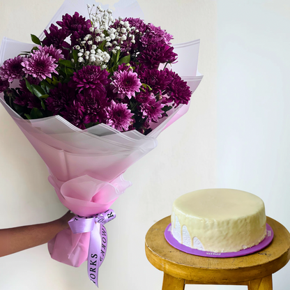 Viola Bundle
