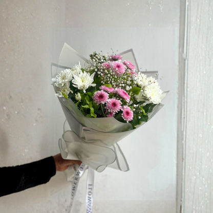 Chrysanthemum Mix