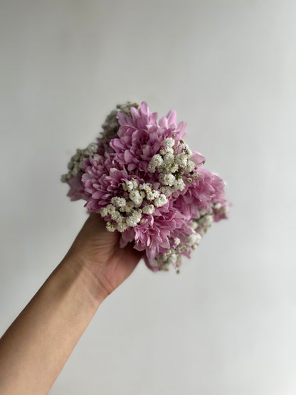 Chrysanthemum BB mix gajray
