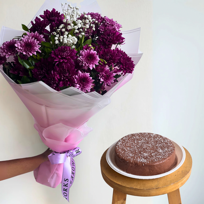 Viola Bundle