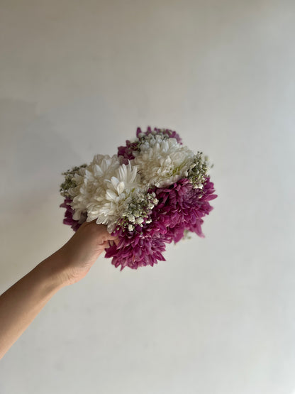 Chrysanthemum BB mix gajray