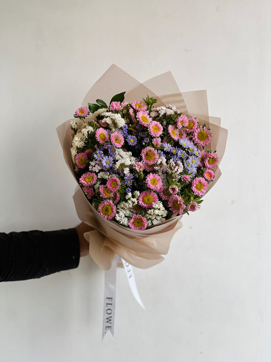 Aster Love