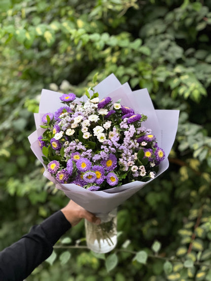 Aster Love