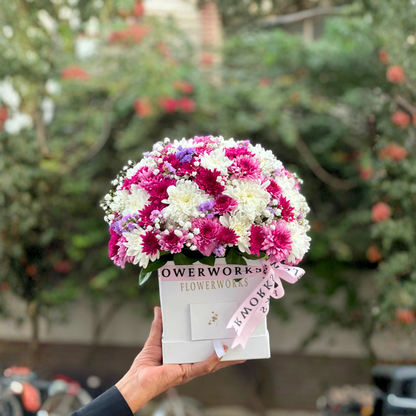 Chrysanthemum Mix Box