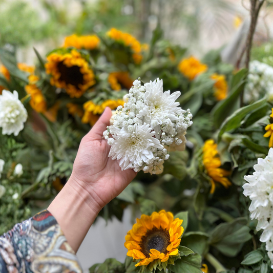 Motia with Chrysanthemum Gajray