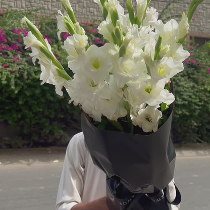 Gladiolus Galore