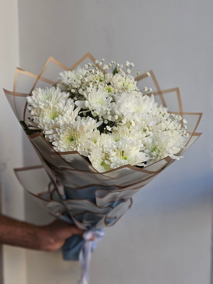 Chrysanthemum White