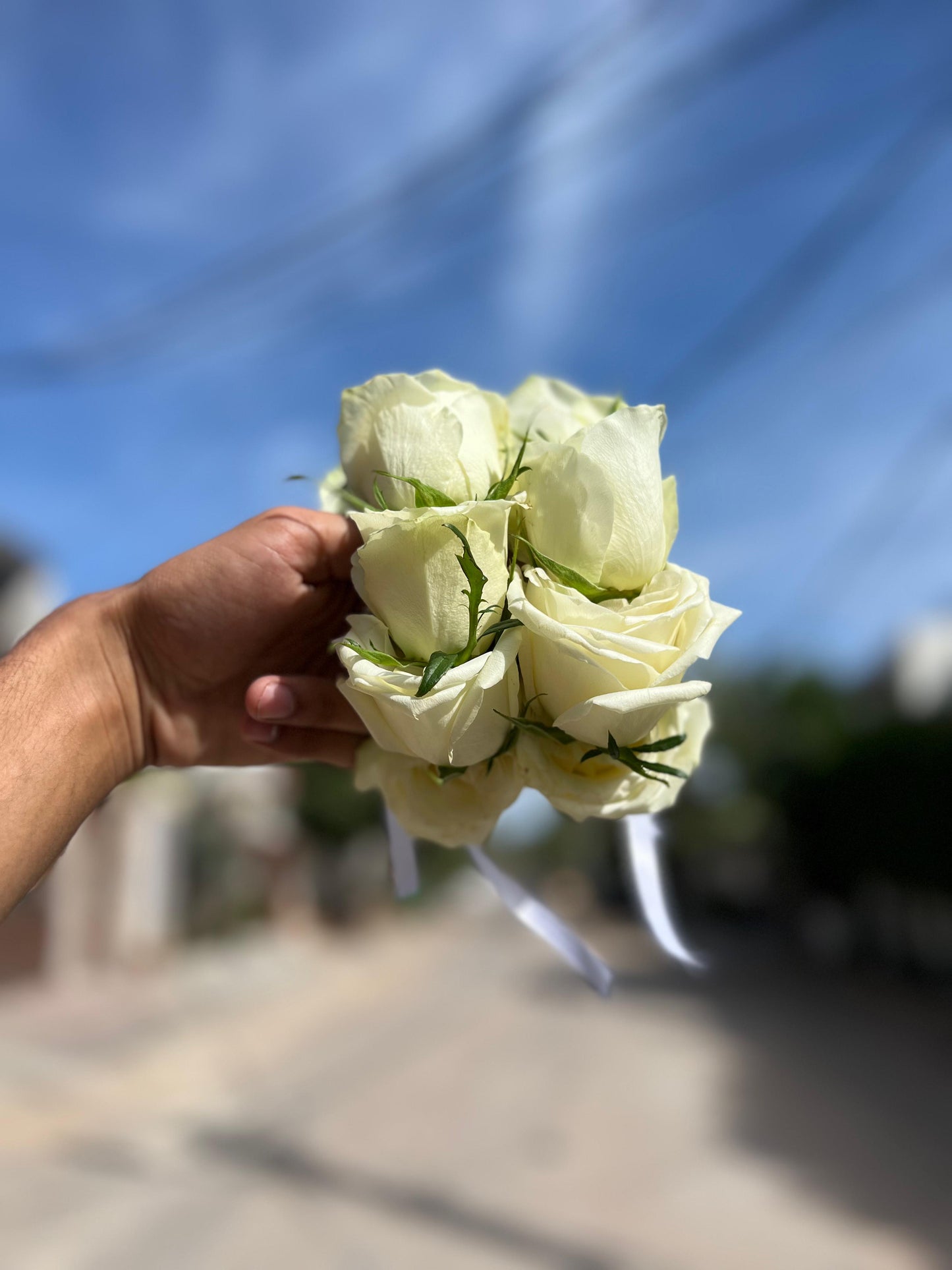 Rose گجرے